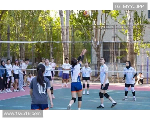 排球意识排行榜揭晓北京排球队荣获第六名的佳绩引发关注